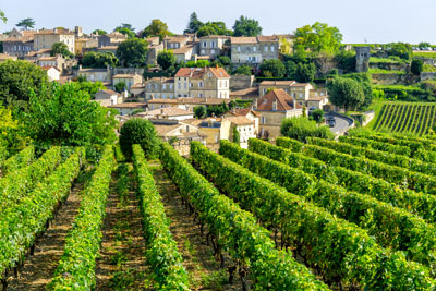 Image de champs - ESG Tourisme