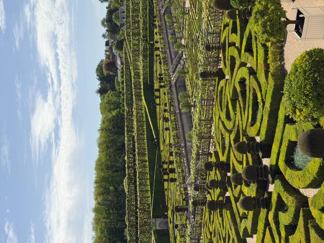 Jardins taillés 
